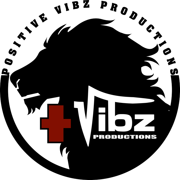 Positive Vibz Studio
